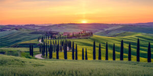 Photos of Tuscany - Summer Dream