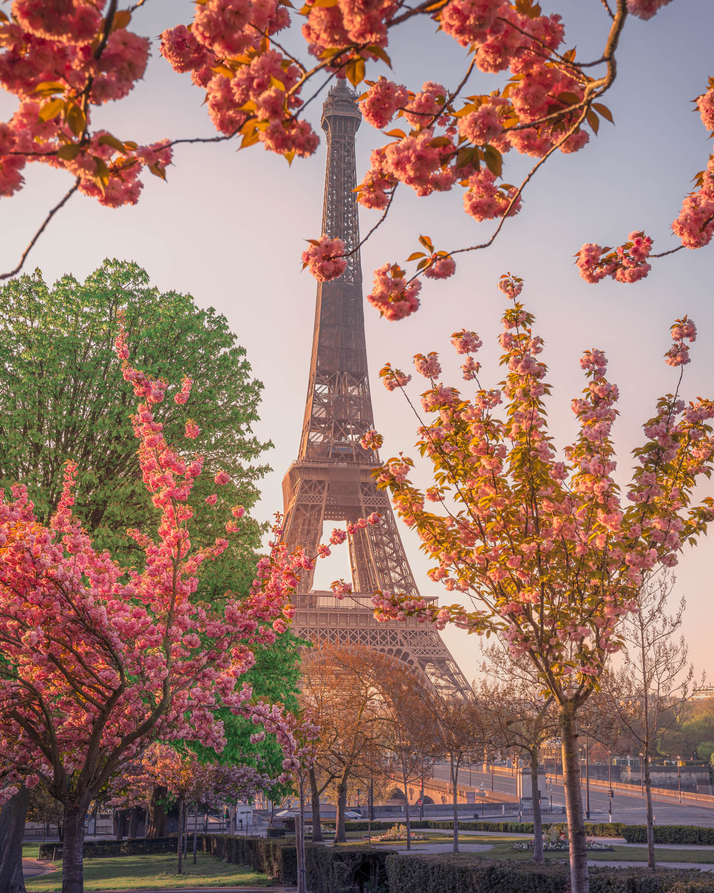 Eiffel Tower in Spring - Spring in Paris