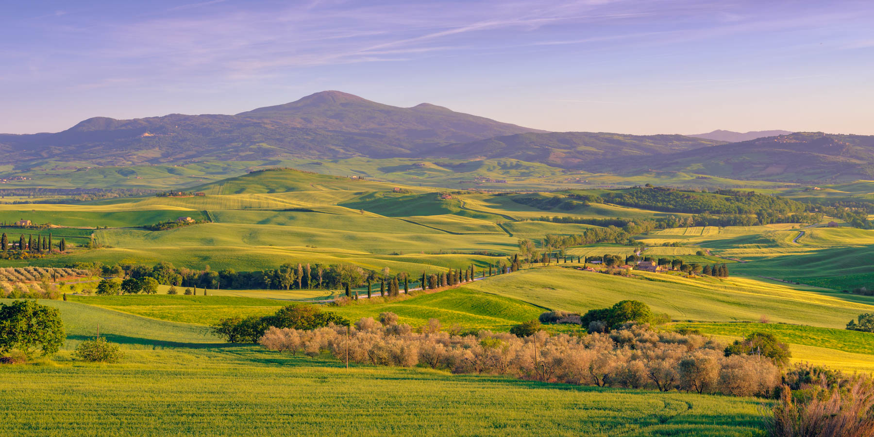 Tuscany Landscape - Serenity