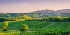 San Gimignano - Fairytale Castle