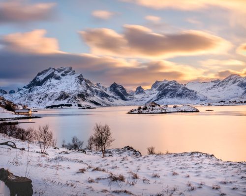 Lofoten Islands Norway - Golden Lofoten